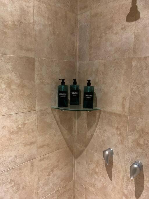 メキシコシティExcelente Departamento En La Condesaアパートメント エクステリア 写真
